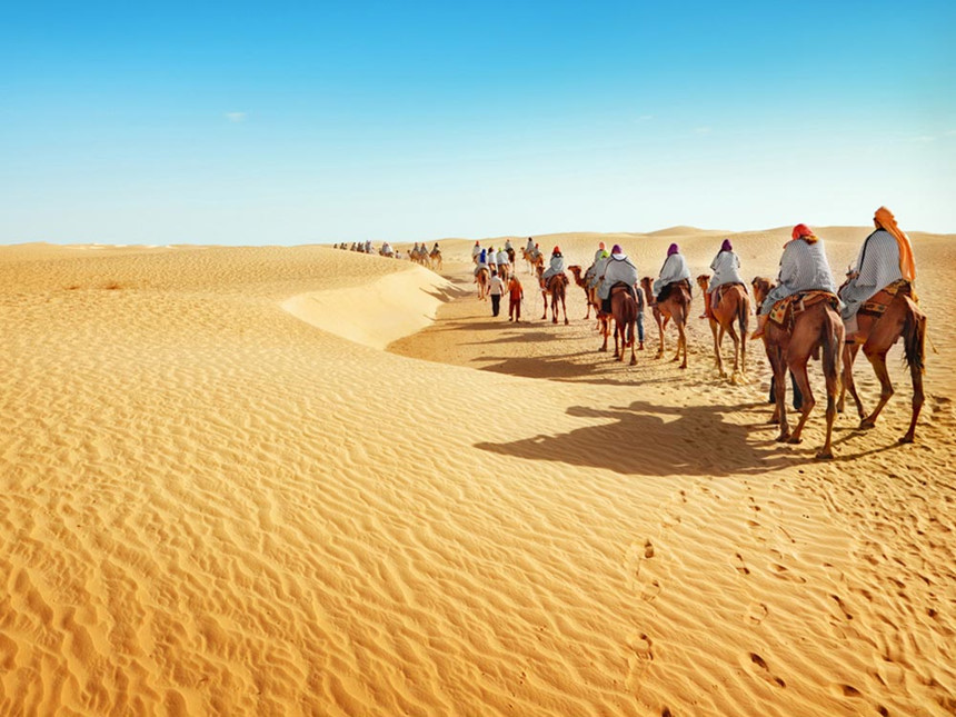 Những[-]sự[-]thật[-]bất[-]ngờ[-]về[-]sa[-]mạc[-]Sahara[-]
